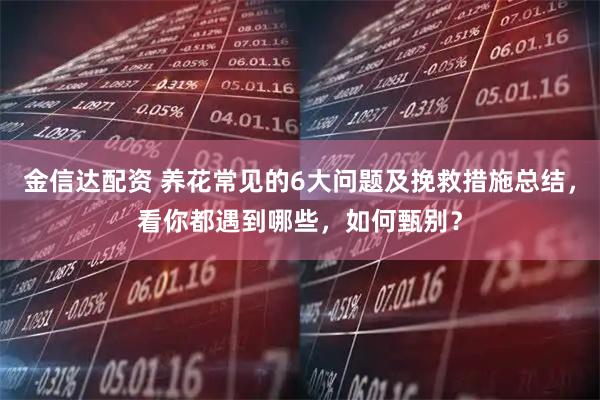 金信达配资 养花常见的6大问题及挽救措施总结，看你都遇到哪些，如何甄别？