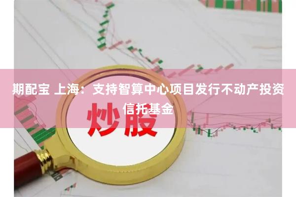 期配宝 上海：支持智算中心项目发行不动产投资信托基金