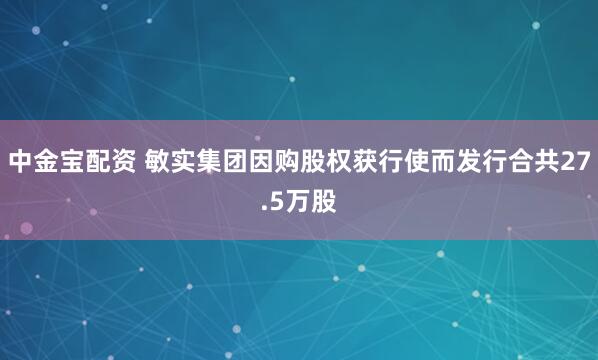 中金宝配资 敏实集团因购股权获行使而发行合共27.5万股