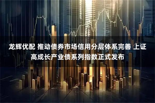 龙辉优配 推动债券市场信用分层体系完善 上证高成长产业债系列指数正式发布